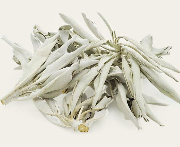 Sahumo de Salvia – Ritual de Limpieza Energética
